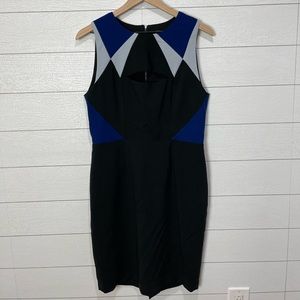 BCBG MaxAzria Karin Dress Size 10